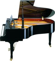 Shigeru Kawai-Flügel SK-5, schwarz poliert von der Seite